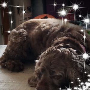 Meet your Posher, Bethany